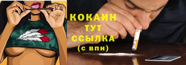 крисы Козловка