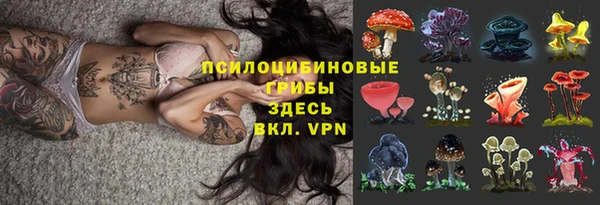 прущие крисы Козельск