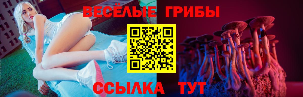 Галлюциногенные грибы GOLDEN TEACHER Урай